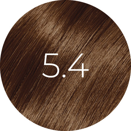 Coloration BBHair PLEX 100ml — Sans Ammoniaque (67 Nuances Professionnelles)