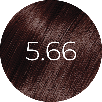 Coloration BBHair PLEX 100ml — Sans Ammoniaque (67 Nuances Professionnelles)