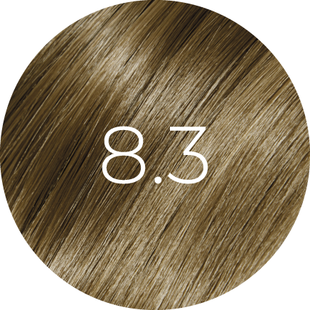 Coloration BBHair PLEX 100ml — Sans Ammoniaque (67 Nuances Professionnelles)