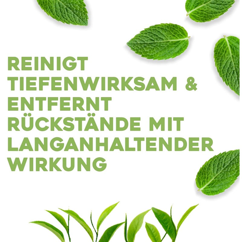 Shampoing Clarifiant OGX Tea Tree